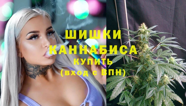 молекула духа Белоозёрский