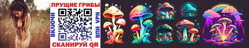 Псилоцибиновые грибы Psilocybe наркотики Кяхта